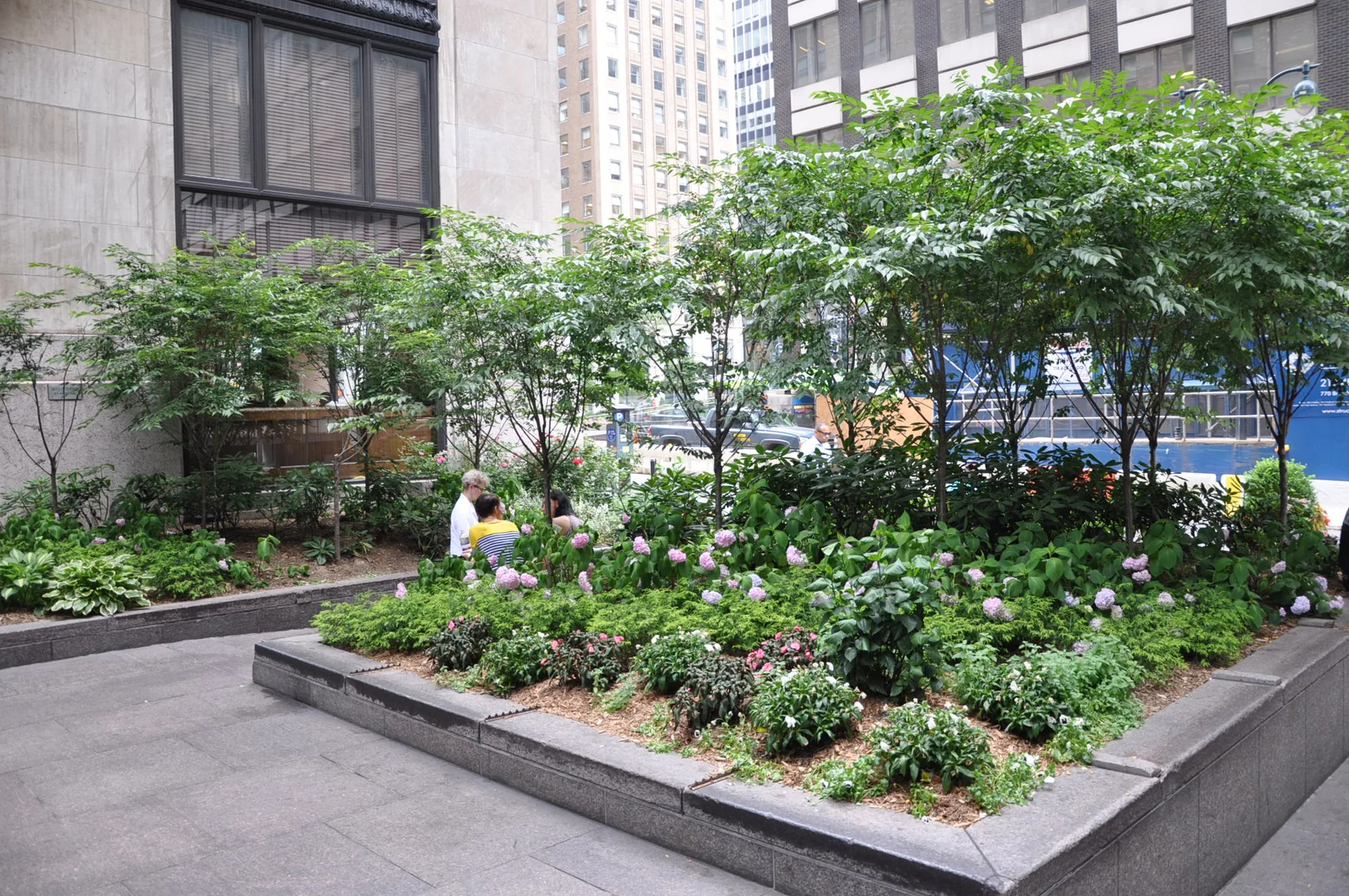 Commercial plaza landscaping with structured planters