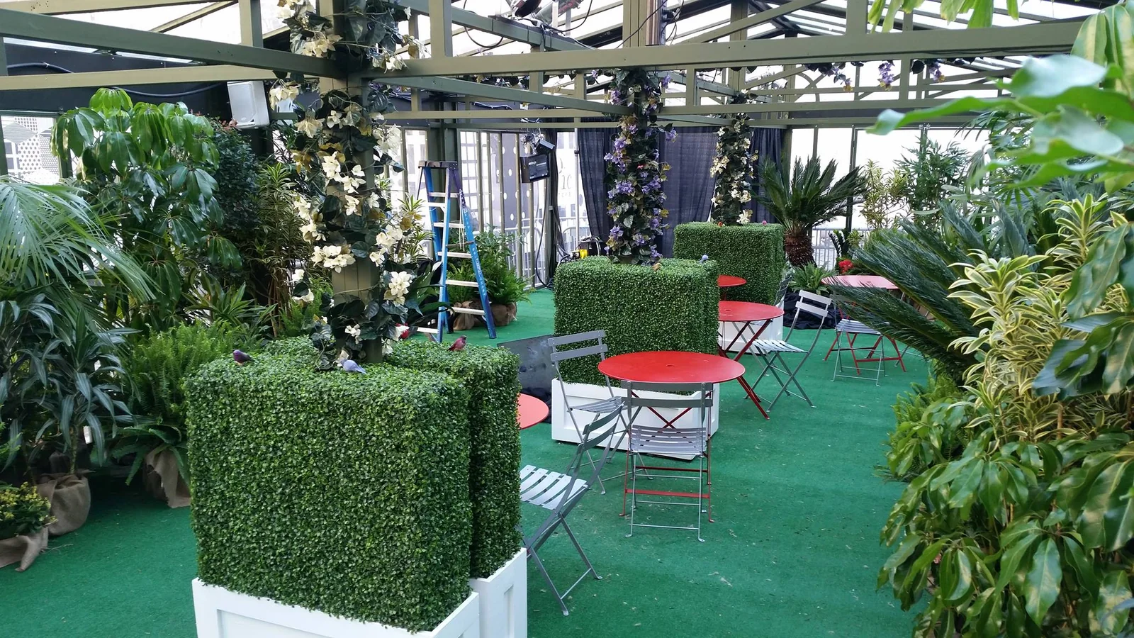 Temporary greenhouse rental structure with event greenery