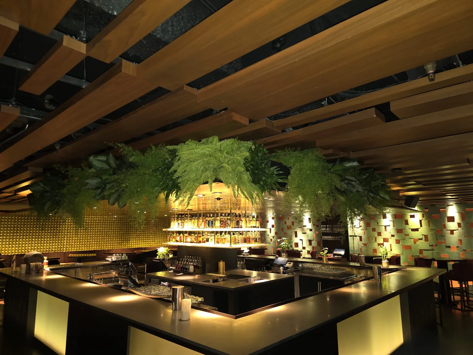 Hospitality bar interior filled with foliage