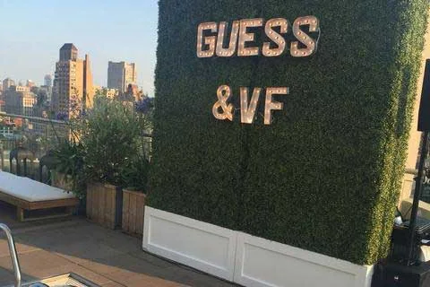 Compact boxwood hedge wall installation