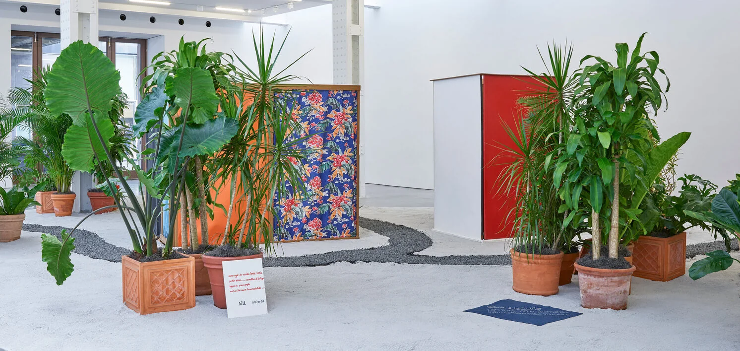 Potted tropical plants become part of an art installation.