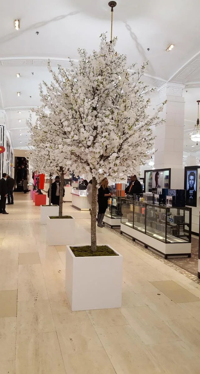 A hybrid cherry blossom tree with pale faux blooms in a bright retail interior.