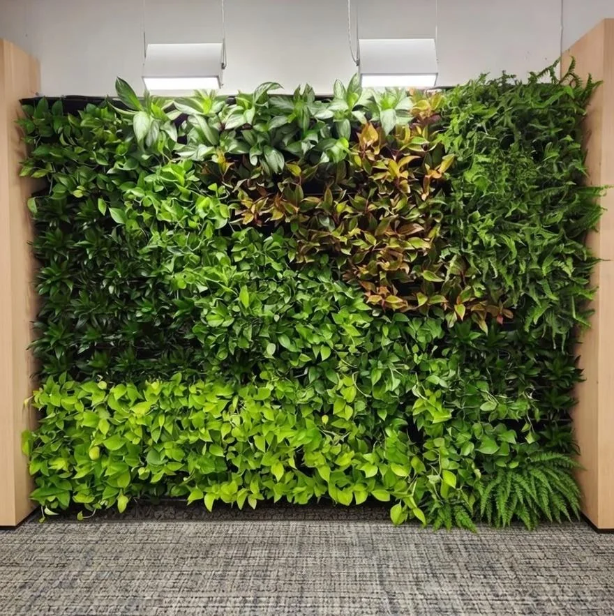 A freestanding living wall filled with layers of green foliage.