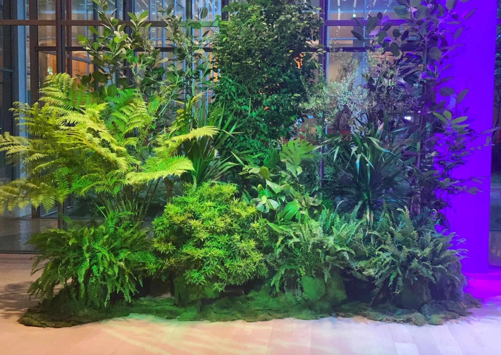 A planted stage backdrop with ferns, palms, and colorful event lighting.